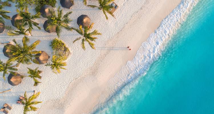 Vista aérea de una hermosa playa con aguas turquesas y palmeras.
