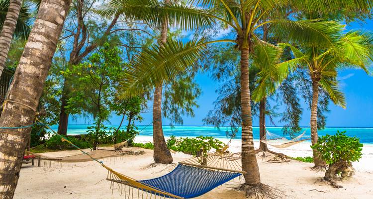 Playa relajante con hamacas y palmeras.