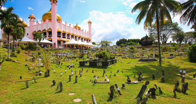 Mosquée au dôme rose avec cimetière herbeux environnant et grands palmiers sous un soleil éclatant.