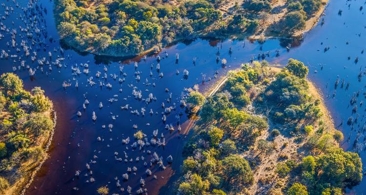 Aerial view of lush greenery and waterways in the Okavango Delta.