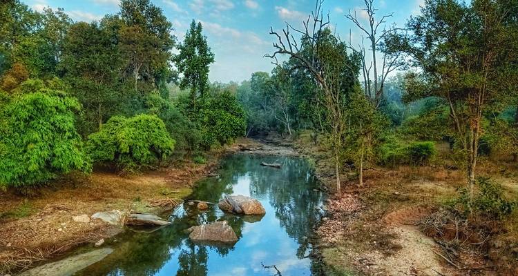 Ruhiger Fluss in einer Waldkulisse mit Spiegelungen im Wasser.
