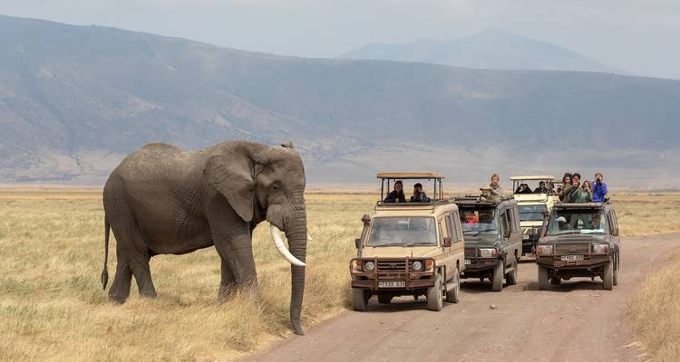 Éléphant près de véhicules de safari avec des personnes qui observent.