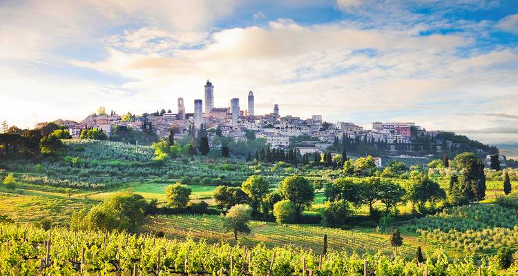 Panoramic view of San Gimignano surrounded by vineyards