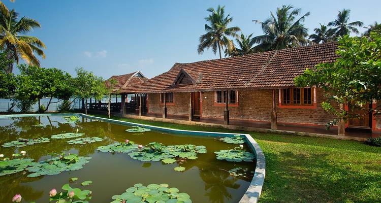 Traditional building with thatched roof by a lily pond surrounded by palm trees.
