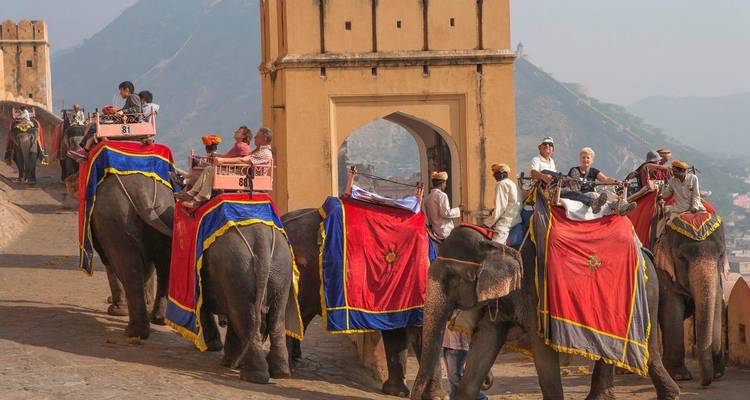 Éléphants transportant des touristes le long d'un chemin de fort historique.
