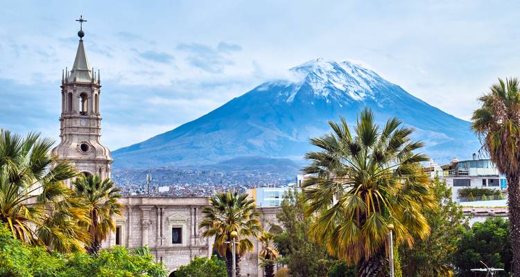 Vue sur le volcan avec bâtiments historiques et palmiers.