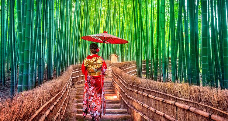 Person in traditional attire walking through a bamboo forest.