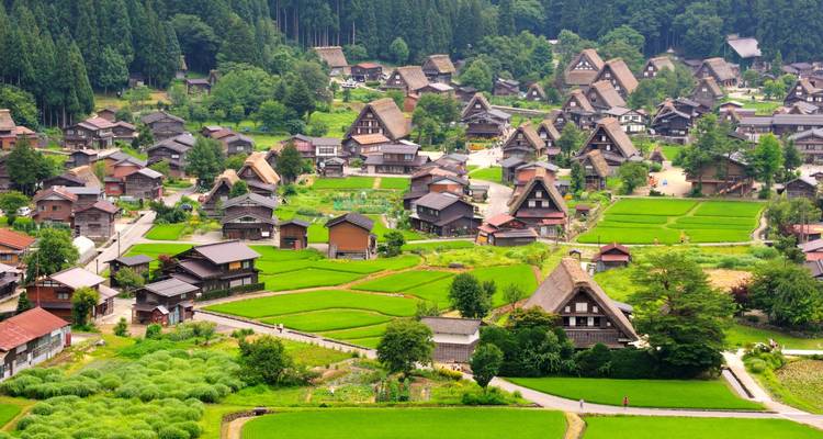 Traditional Japanese village with gassho-style houses.