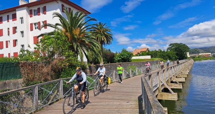 Les cyclistes traversent un pont en bois bordé de palmiers à côté d'une rivière tranquille.