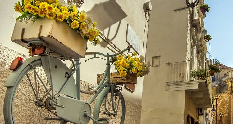 Una bicicleta vintage montada en una pared blanca, cestas rebosantes de flores amarillo brillante.