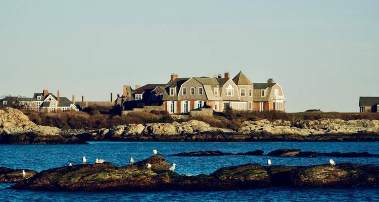 Luxury coastal homes with rocky shore and seagulls.