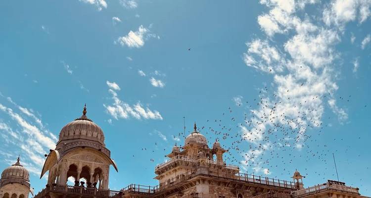 Ornate domes and balconies of a Rajasthani palace framed by a sky filled with flying birds.