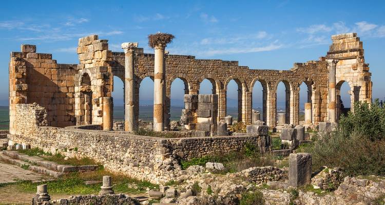 Stone arches and columns of the ancient Roman ruins at Volubilis sitting on a grassy hillside