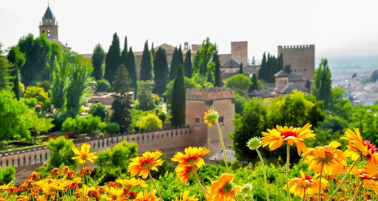 Vista de la fortaleza de la Alhambra enmarcada por margaritas amarillas vibrantes y una vegetación exuberante