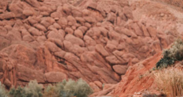 Out-of-focus view of reddish rock formations and scrub vegetation