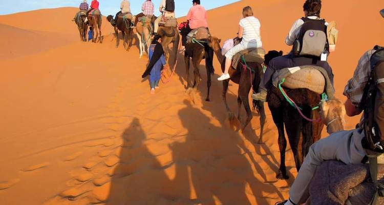 Line of tourists riding camels through orange Sahara dunes casting long shadows in late afternoon light