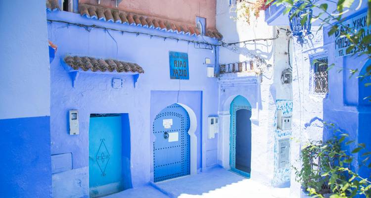 Vivid blue-painted doorways and walls of a narrow alley in Chefchaouen lit by soft daylight