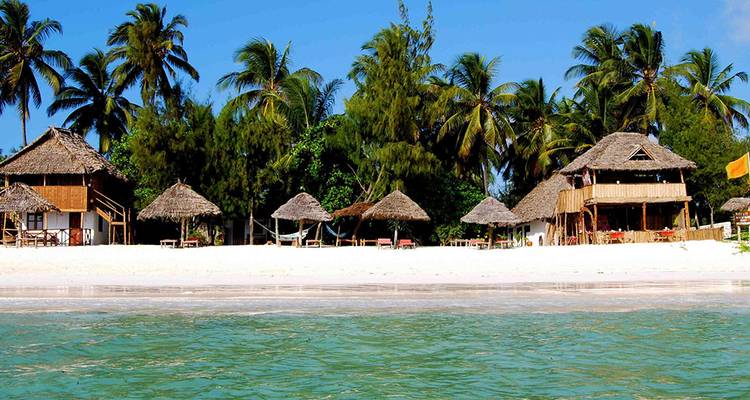 Une plage tropicale avec des huttes traditionnelles et des palmiers, eau claire.