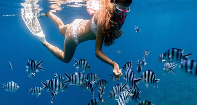 Une personne faisant de la plongée avec tuba sous l'eau avec des poissons autour.