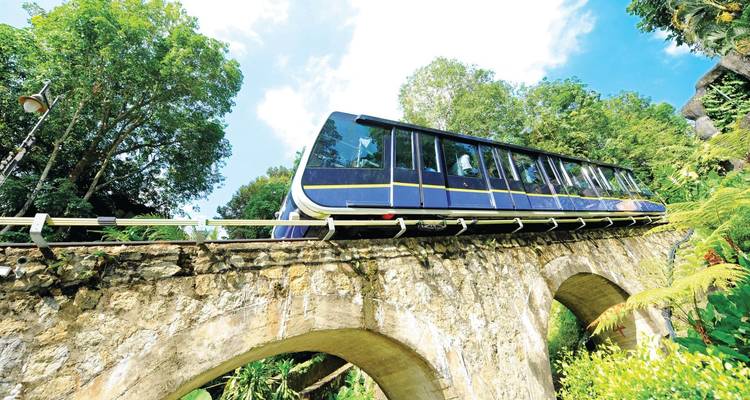 Funiculaire gravissant une colline boisée.