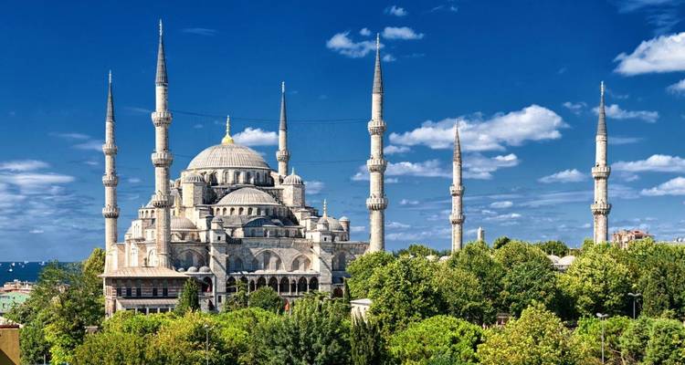 De Blauwe Moskee omgeven door groen en bomen.