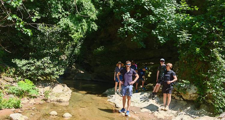Los excursionistas descansan junto a un arroyo sombreado en el bosque después de caminar por exuberante vegetación.