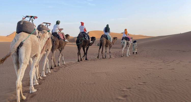 A line of camels with riders crossing the desert.