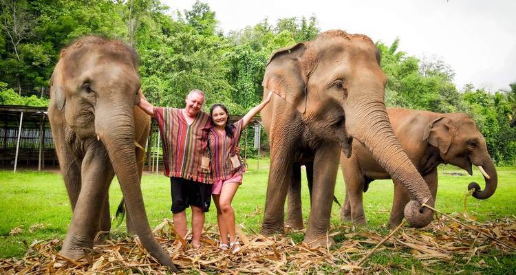Couple posant avec des éléphants dans un cadre naturel.