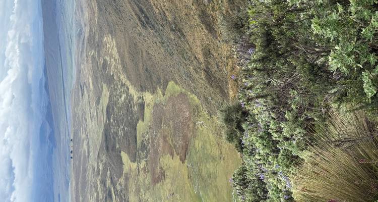 Amplia extensión de campos con vegetación variada y colinas distantes.