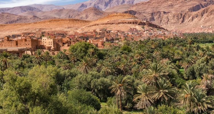 Oasis exuberante de palmeras contra un telón de fondo de desierto montañoso.