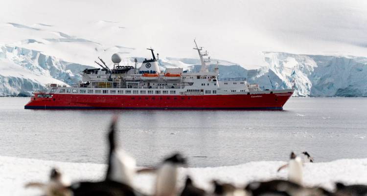 Ein leuchtend rotes Expeditionsschiff ankert inmitten einer eisigen Antarktis-Landschaft mit unscharfen Pinguinen im Vordergrund.