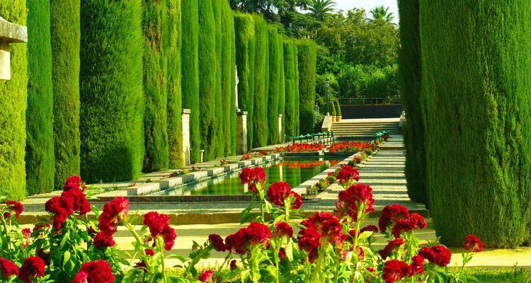 Jardins verts avec des fleurs rouges et de grands cyprès.