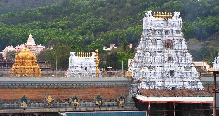 View of a temple complex with multiple gopurams surrounded by greenery.