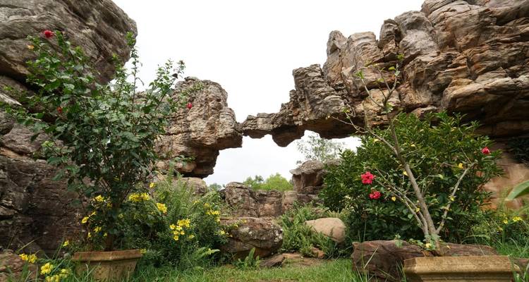 Rocky natural arch formation surrounded by plants and flowers.