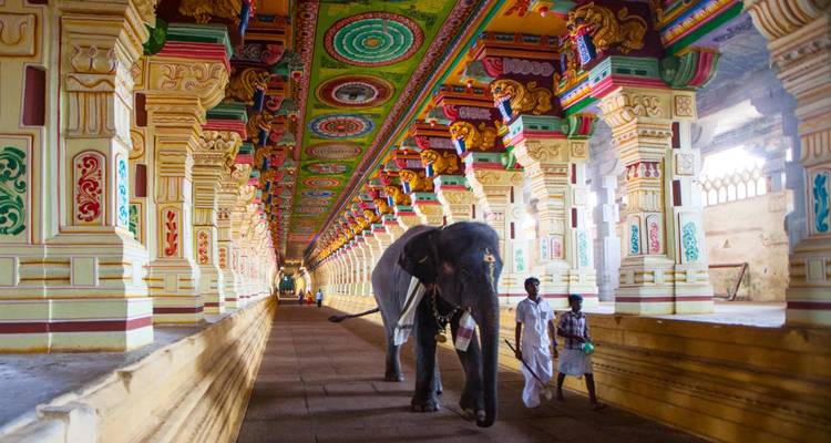 A richly decorated corridor of a temple with pillars and a painted ceiling, an elephant walking through.