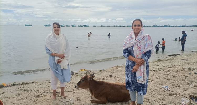Two women and a cow on a beach with the sea and boats in the background.