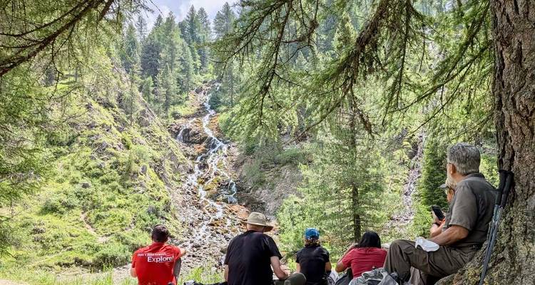 Wandelgroep ontspant zich onder de pijnboomtakken met uitzicht op een kabbelende bergbeek.