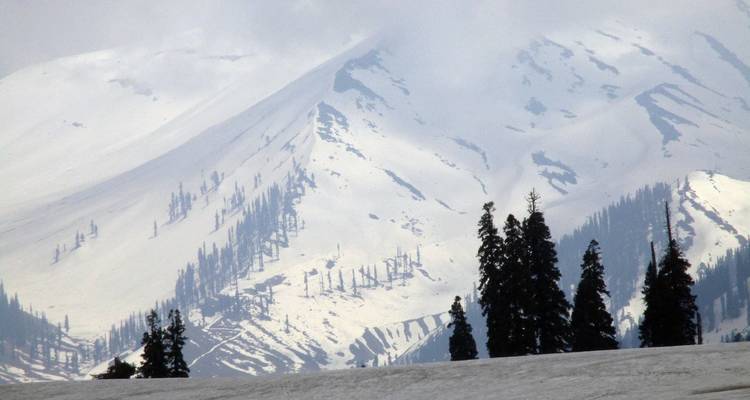 Paysage de montagne enneigé avec des arbres.