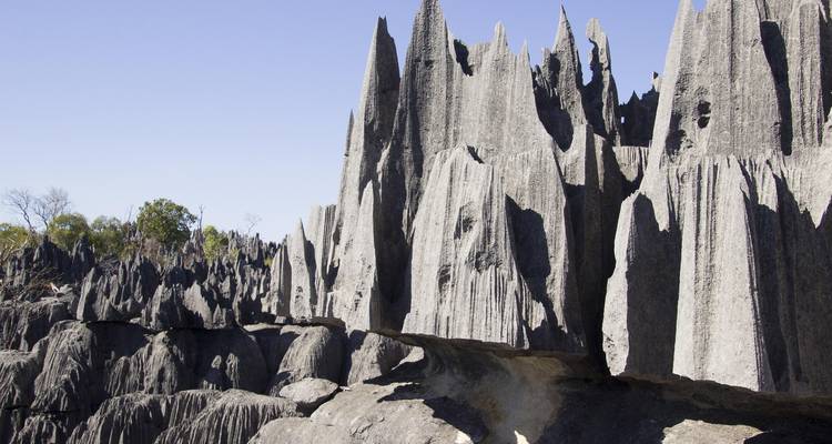 Limestone formations in Tsingy de Bemaraha National Park.