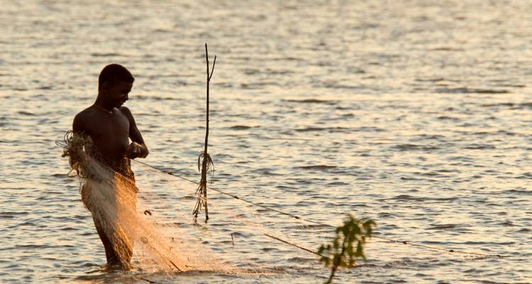 Un pescador de pie en el agua hasta la cintura, brillante al atardecer, sacando una red tradicional.