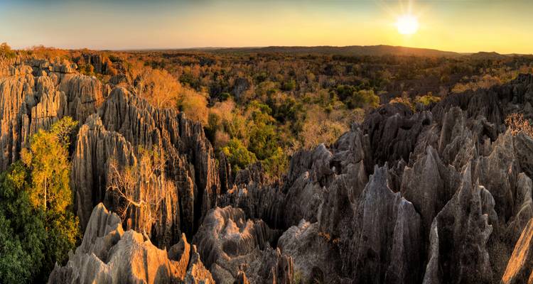 A panoramic sunset view over jagged grey Tsingy formations and autumn-coloured forest.