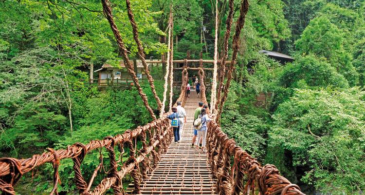 Menschen überqueren eine Hängebrücke in einer üppigen Waldkulisse.