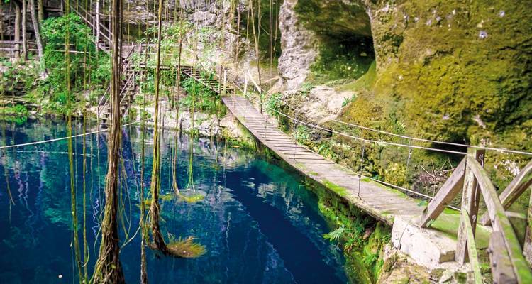 Ein malerischer Cenote mit klarem blauen Wasser und Ranken.