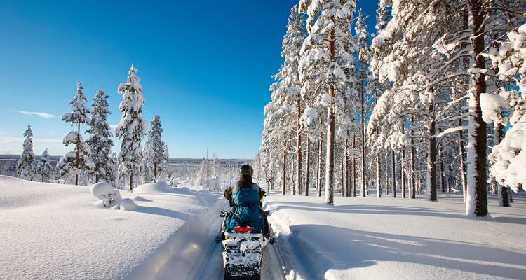 Person, die mit einem Schneemobil durch einen verschneiten Wald fährt.