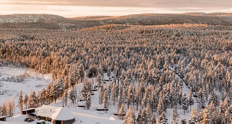 Luftaufnahme einer verschneiten Waldlandschaft mit einer Hütte.