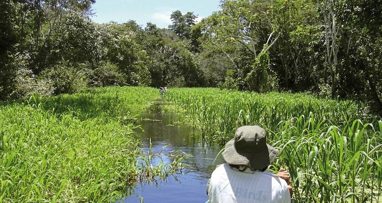 Persona navegando en canoa en un río verde y exuberante.