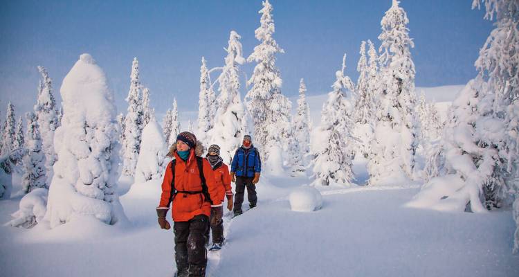 Tres personas caminando en un bosque nevado.