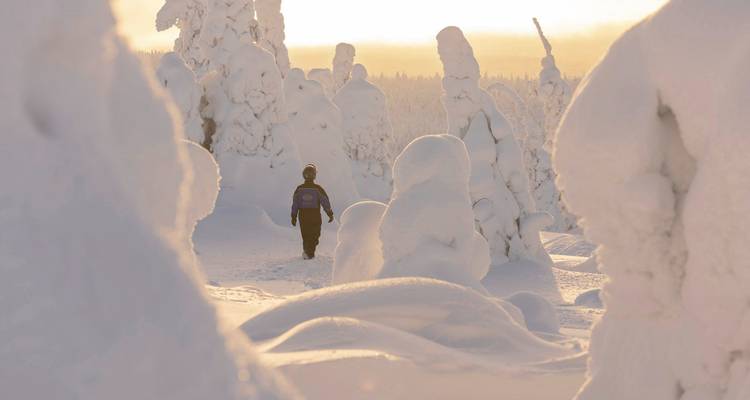 Person, die durch einen verschneiten, sonnenbeschienenen Wald geht.