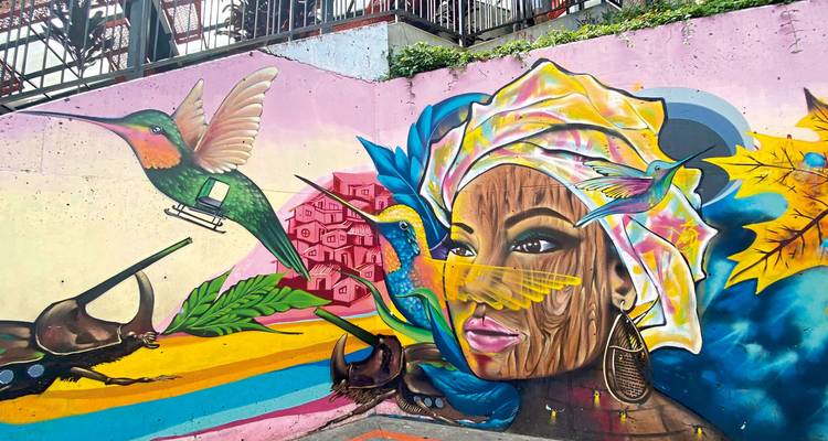 Colorful graffiti art on a wall featuring birds and a woman's face.