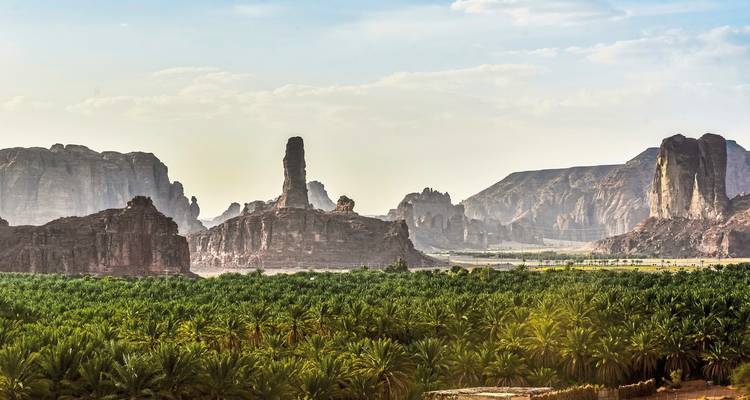 Lush palm plantation with dramatic rock formations